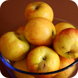 apfelchutney8