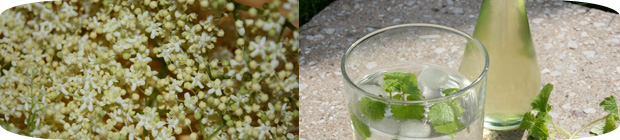 Holunderblütensirup