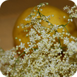 sirup3