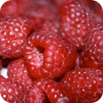 clafoutis5