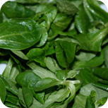 roastbeefsalat1