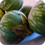 Thai Auberginen