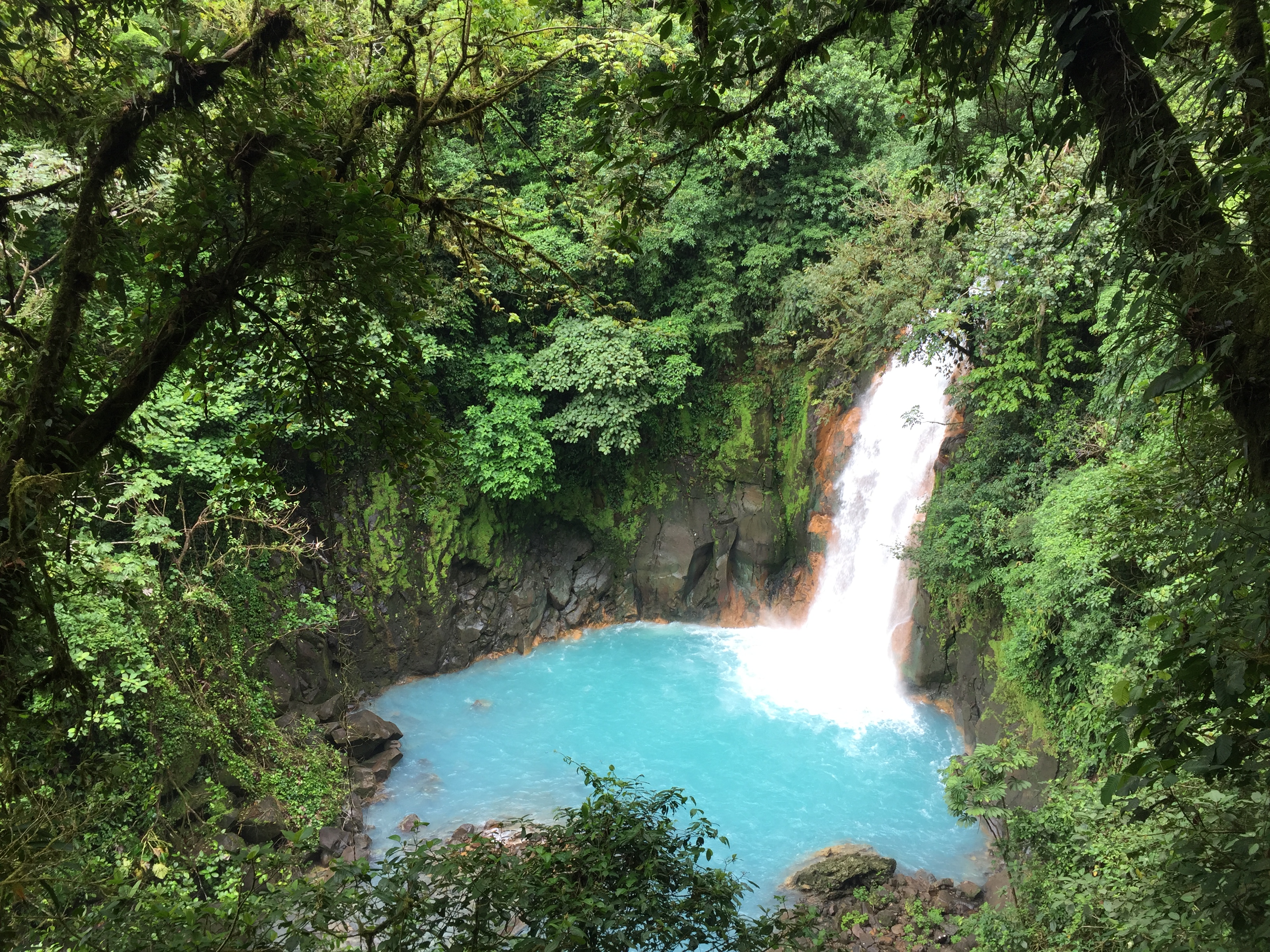 Rio Celeste Tenorio Nationalpark