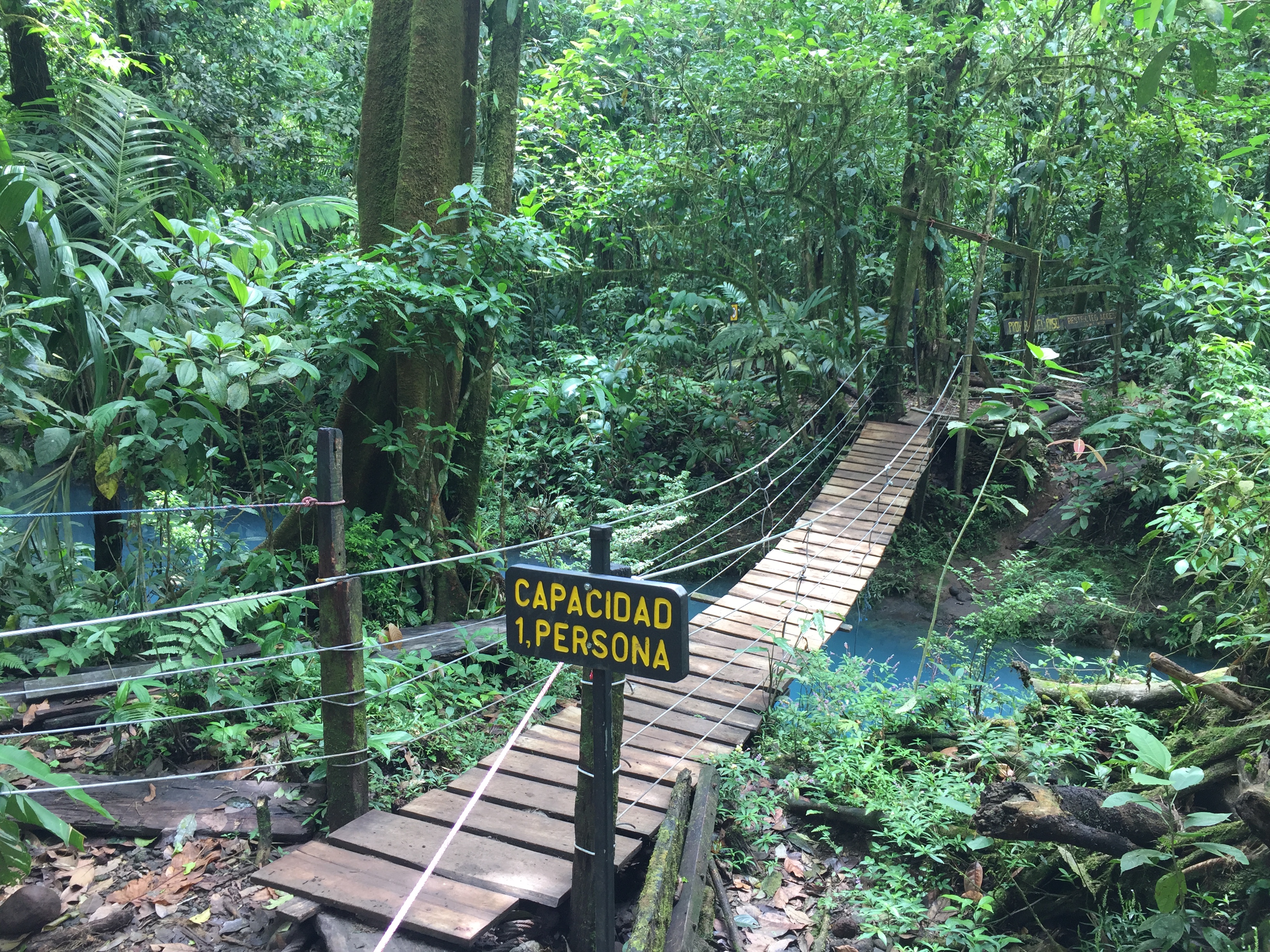 Rio Celeste Tenorio Nationalpark