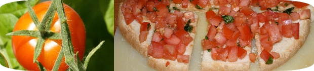 Bruschetta mit frischen Tomaten