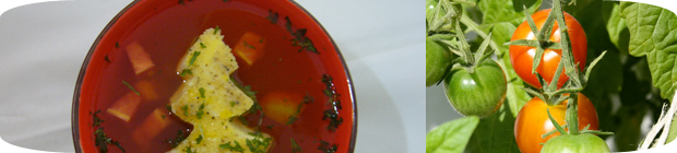 Tomatenconsommé