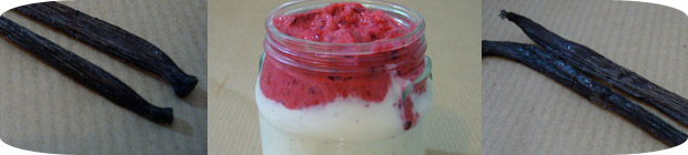 Vanillequark mit Fruchtpüree