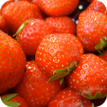 Erdbeeren