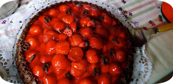 Schoko Erdbeer Kuchen