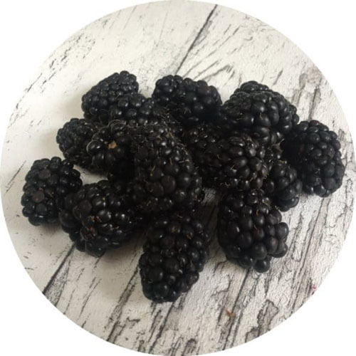 Brombeeren