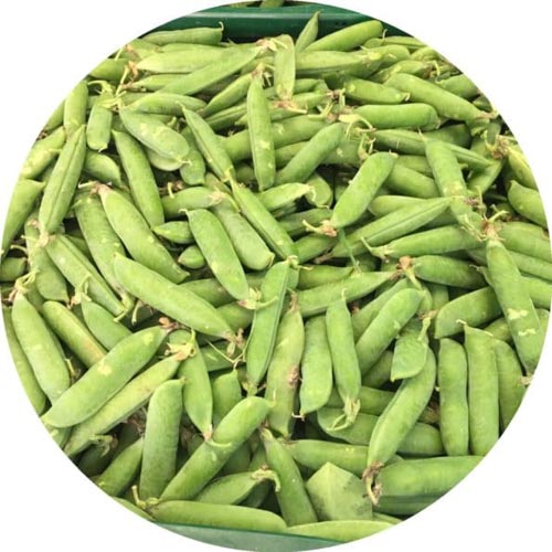 Erbsen