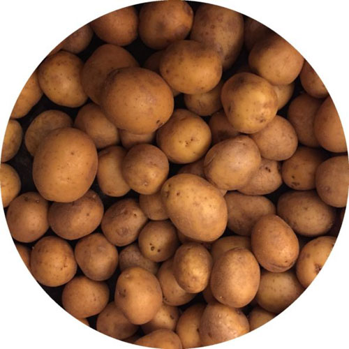 Kartoffeln