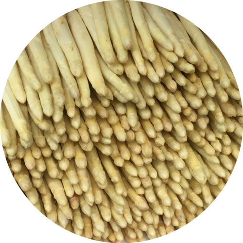 Weißer Spargel