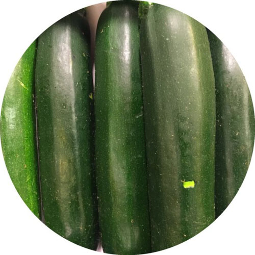 Zucchini
