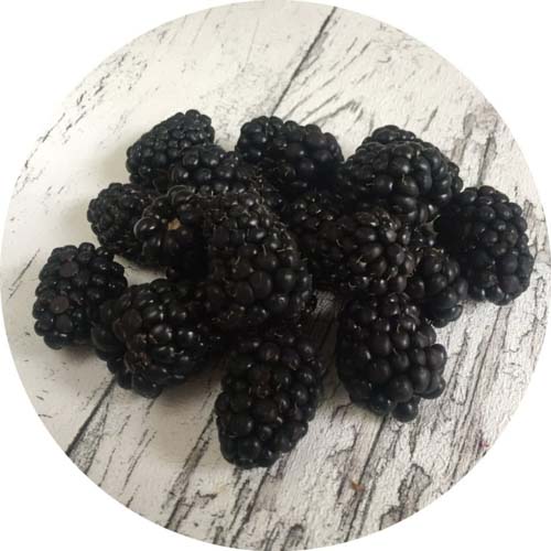 Brombeeren