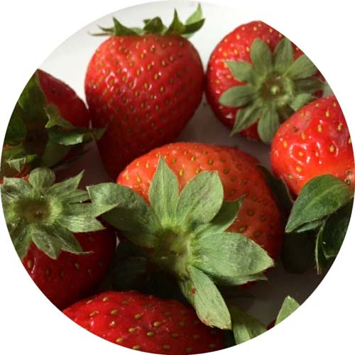 Erdbeeren