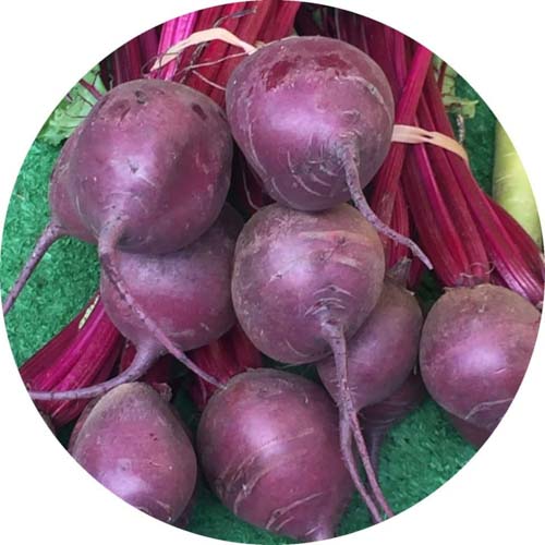 Rote Beete