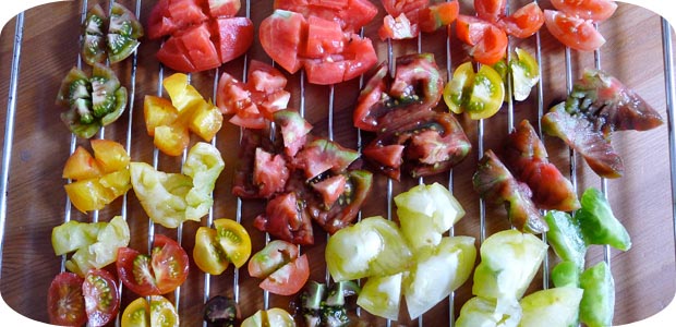 Getrocknete Tomaten selbermachen