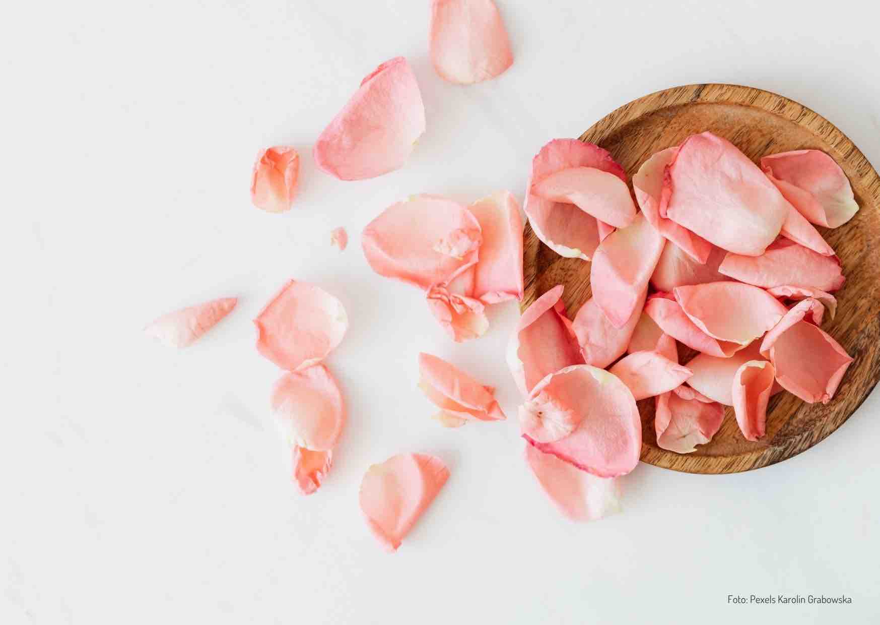 Ernährung bei Pickeln und Akne - Bild Rosenblätter