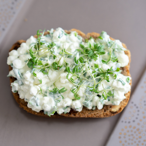 Gesund und lecker: Kräuter-Cottage Cheese mit kleinem Salat